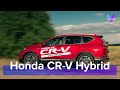 Honda CR-V Hybrid 2020: экономично и динамично. Тест-Драйв #YouCarDrive