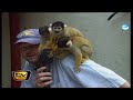 Raab in Gefahr: Kinderschreck im Affenzoo - TV total
