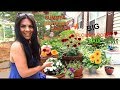Of Front House Garden In