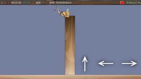 Transformice Wall Jump (WJ)