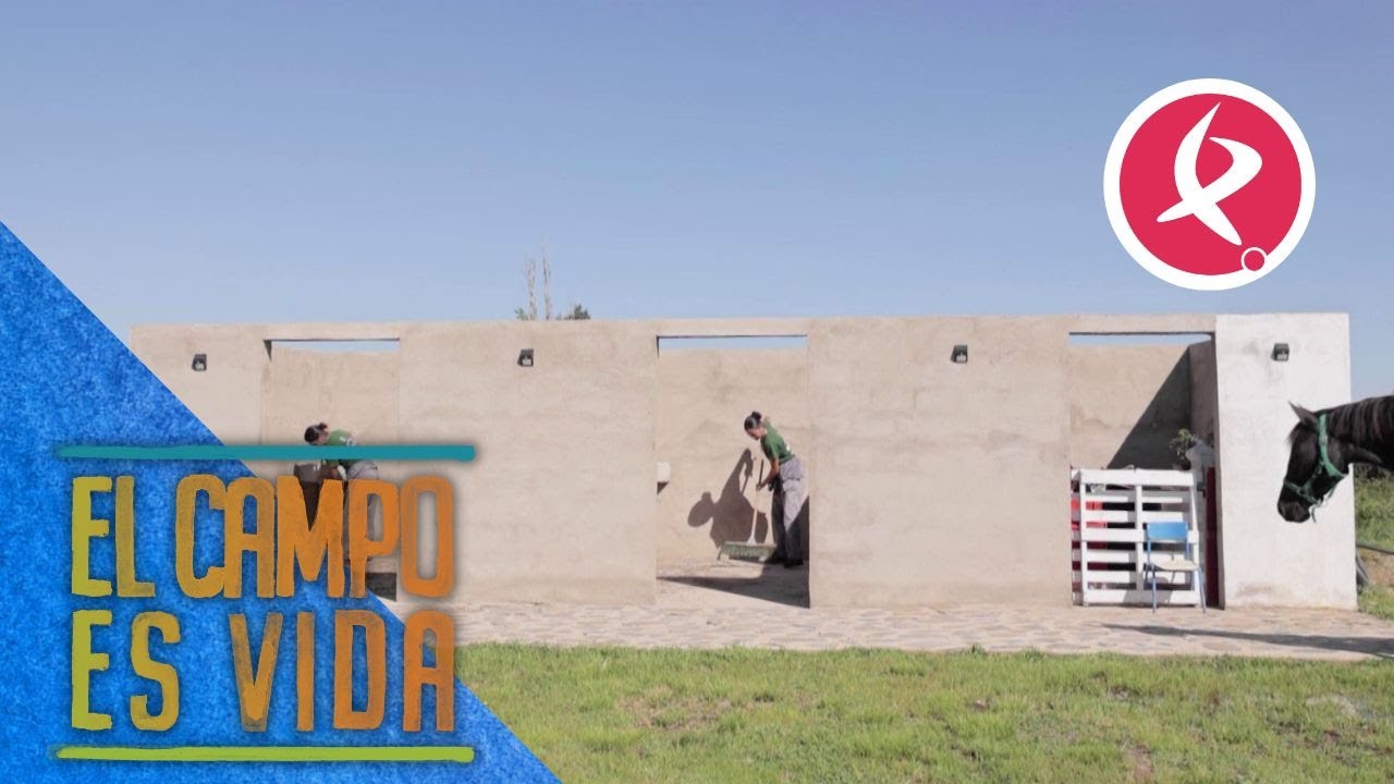 Isabel y Lidia ponen a punto las cuadras de sus yeguas | El campo es vida