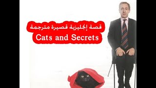 قصة باللغة الإنجليزية مترجمة للعربية سهلة جدا Cats and Secrets | idiom