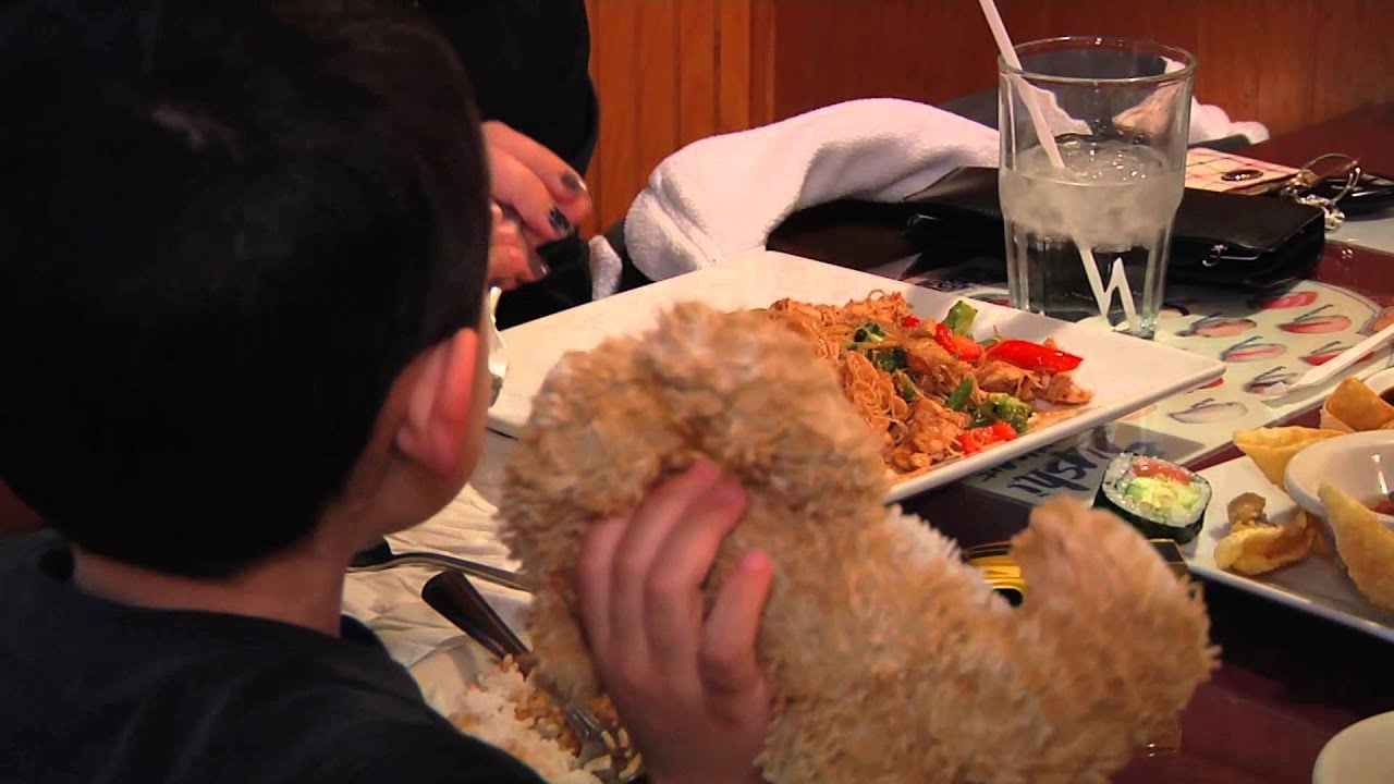 O'FallonTV: Thai Jasmine Restaurant | O'Fallon, Missouri - YouTube
