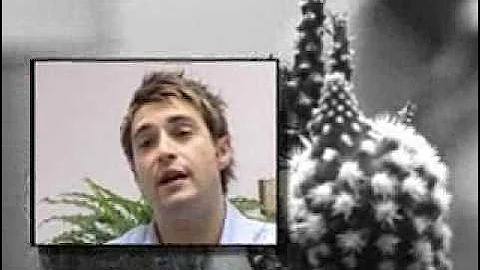 Day in the life of a Process Engineer