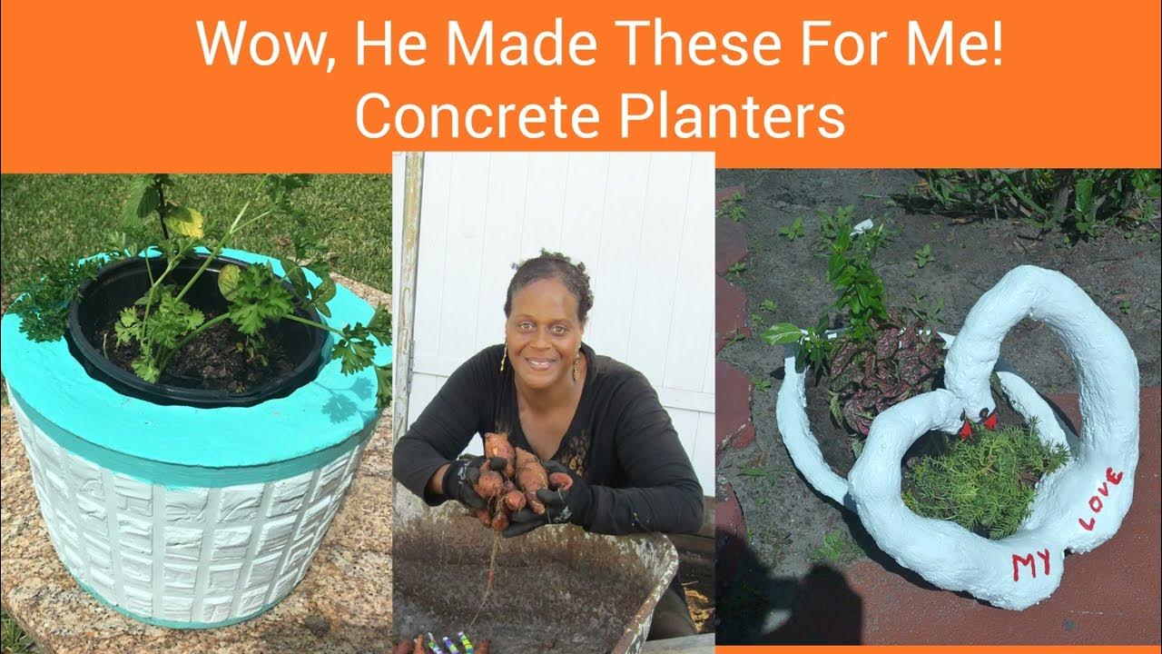 How To Make DIY Cement Pots at Home! PlantLover YouTube