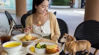 Dining with Dogs: Your Guide to Corpus Christi's Best Pet Friendly Patios