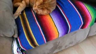 DSCF6521.AVI