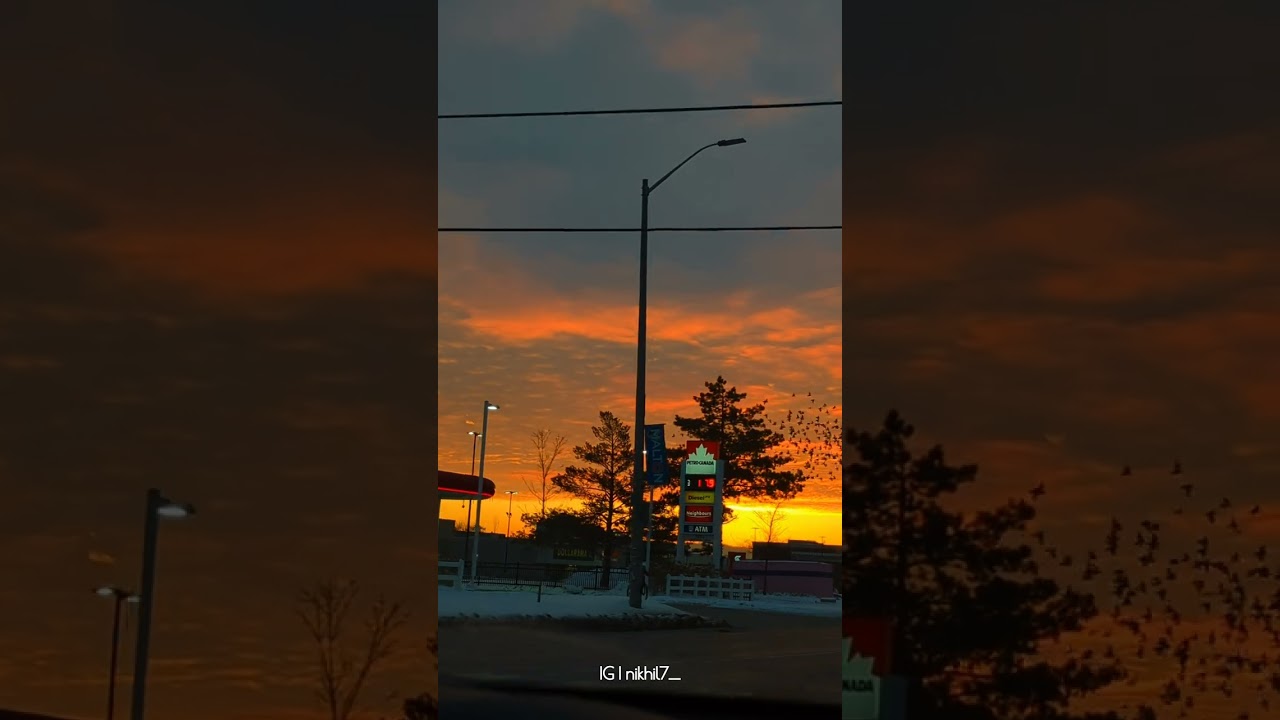 Sunrise of Canada | Subhanallah | YJHD | Instagram reels | Shot on Pixel 7 | Zodiac