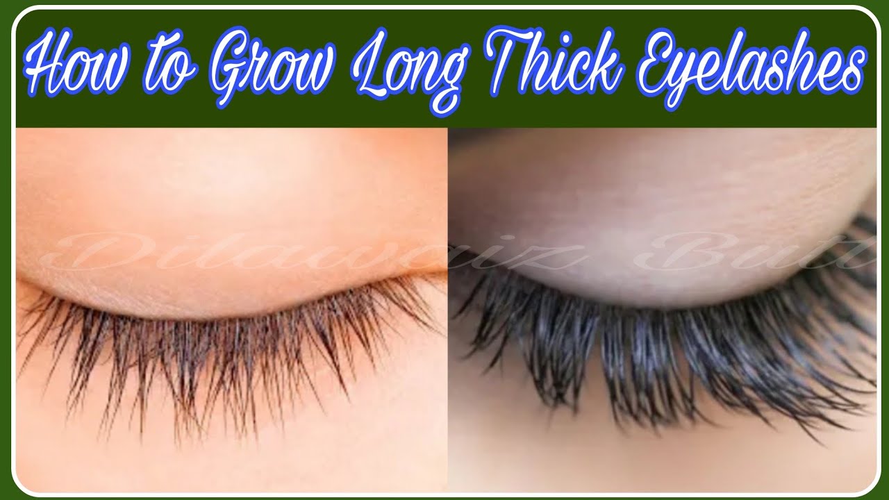 How to grow long, thick eyelash in 3 days eyelash serum YouTube