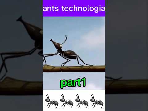 ants design new bridge #ants #design #bridge