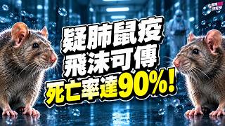 伊爾庫次克疑肺鼠疫：可飛沫人傳人，未治療死亡率達九成？｜世界新聞研究所