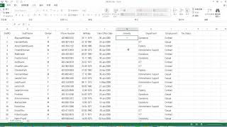 TQC Excel 2016 105 Staff (有聲錄製)