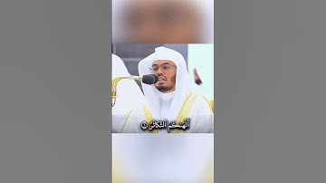 سورة التكاثر ياسر الدوسري#ياسر_الدوسري