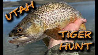 Utah Tiger Trout Hunt: Tips and Techniques for Success