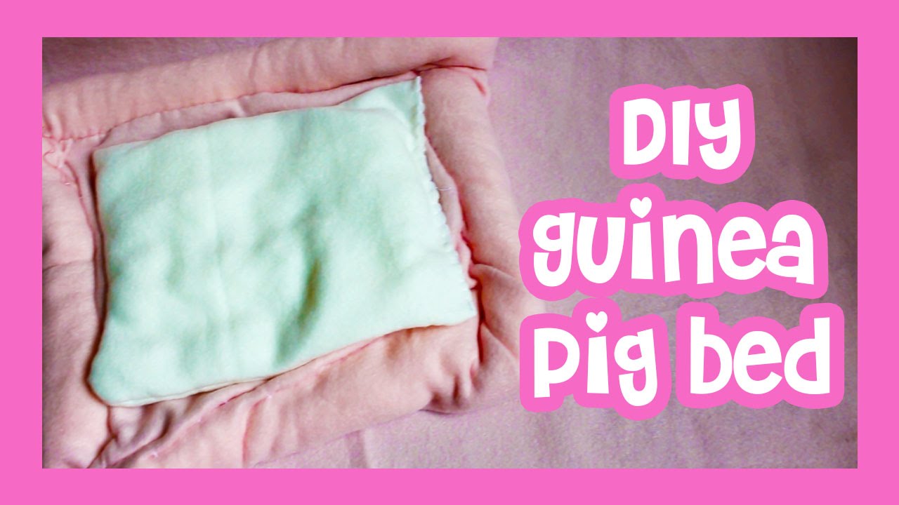 homemade guinea pig bedding