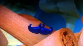 Deep Sea Reg And All Wrapped Up