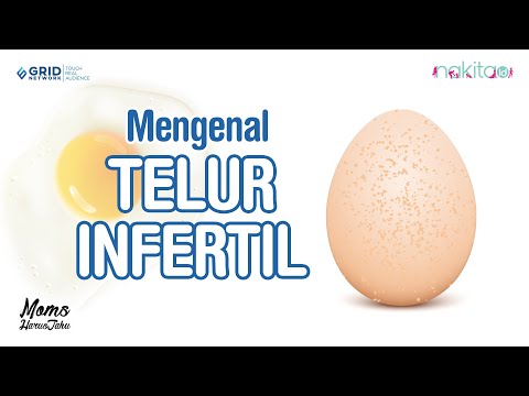 Video: Siapa yang makan telur yang disenyawakan?