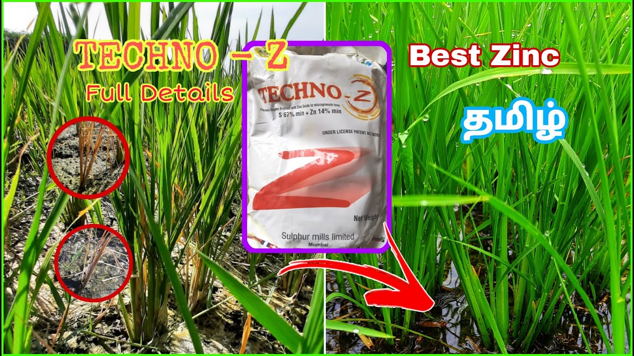 டெக்னோ Z Techno Z Sulphur 67 + Zinc 14 Zinc Sulphate Full