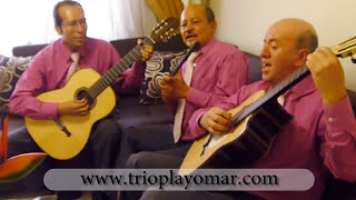 TRIO PLAYOMAR VALLENATOS EN GUITARRA chords