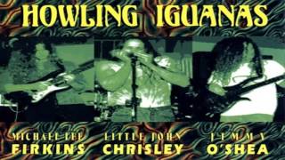 Michael Lee Firkins - Howling Iguanas (Full Album)