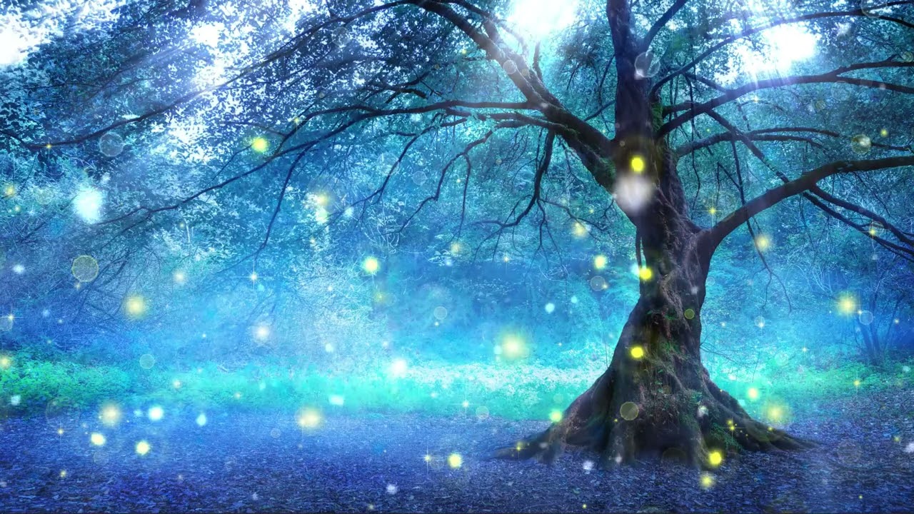 Alan CKS – Silent Embrace | Relaxing Piano Music for Sleeping, Study & Emotional Healing