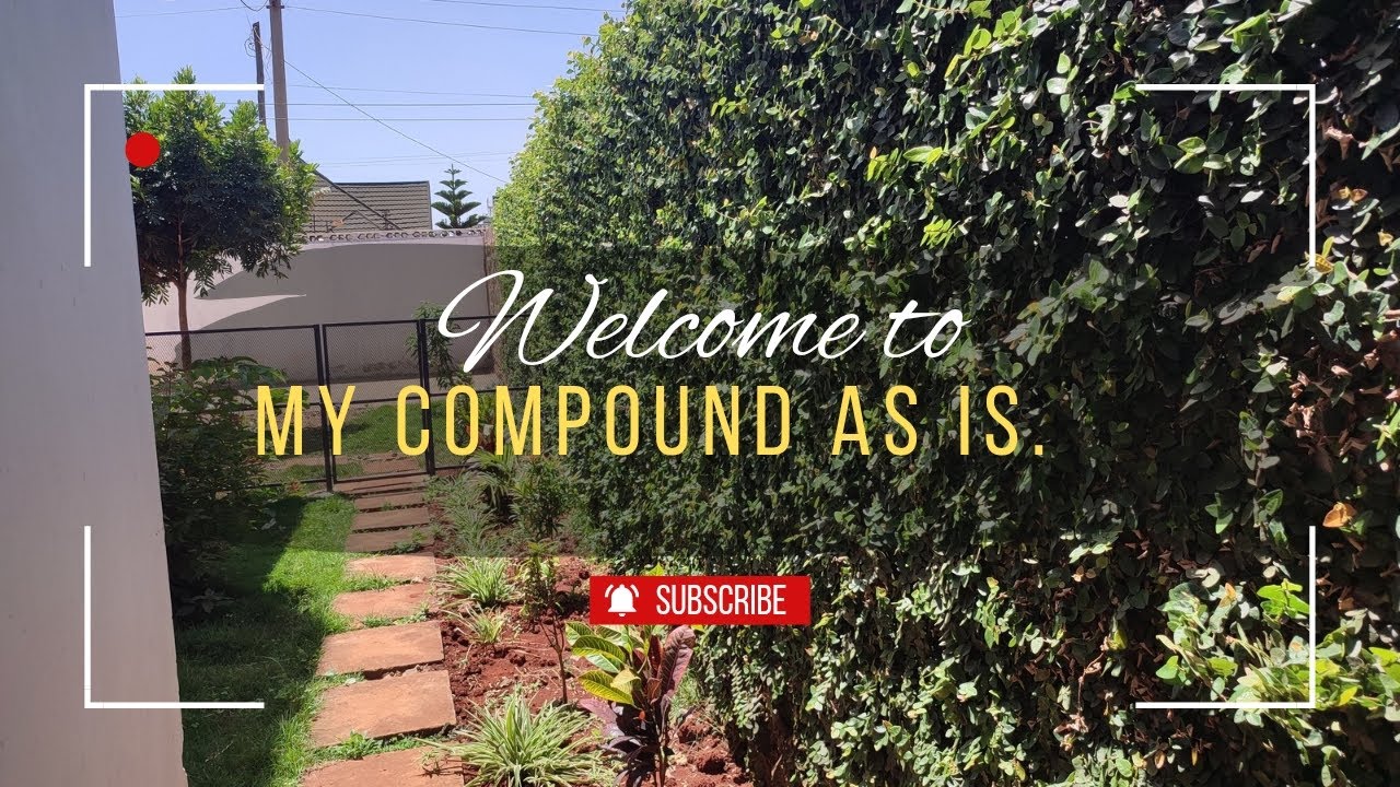 Raw & Real | A Simple Tour of Our Compound|30 Days Challenge @patflynn 