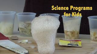 World of Enzymes: Fall 2020 Virtual Field Trips and Science Activities