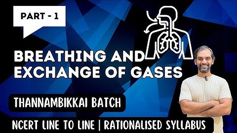 Breathing and Exchange of Gases | Part 1 | Thannambikkai Batch 2024