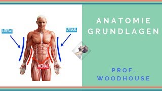 Anatomie: Grundlagen