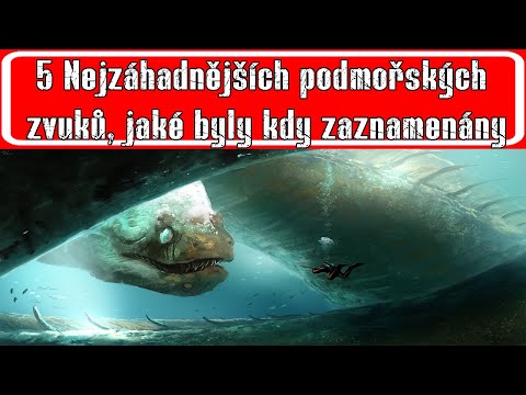 Video: Iniciátor permského trestního řízení proti Romanu Juškovovi by rád viděl Putina a jeho tým na lavici obžalovaných