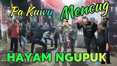 HAYAM NGUPUK Mencug BAJIDORAN SUNDA NICO ENTERTAINMENT // Hut RI ke 80
