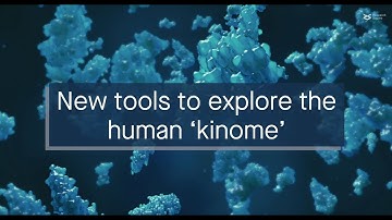 New resources to explore protein kinase substrate sequence preference motifs