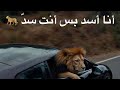 محمد البصيلي أنا أسد بس أنت سد محمد البصيلي أنا أسد بس أنت سد