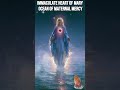 Immaculate Heart of Mary 🌊🌹🕊️ | Ocean of Maternal Mercy ✨💛