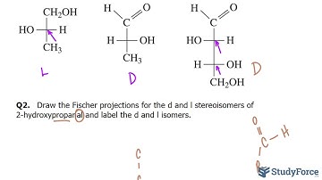 Fischer Projections (Stereoisomers)