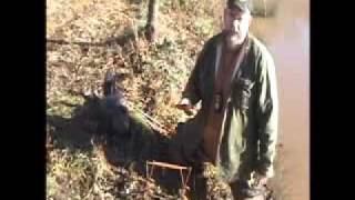 basic beaver trapping