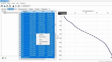 VFP Designer 3: Editing Well Geometry