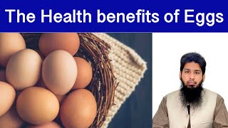 Egg benefits| protein source| Hair fall solution|  अंडे का उपयोग | انڈے کے فوائد