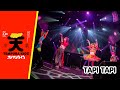 TEMPURA KIDZ - TAPI TAPI (ONE MAN LIVE💐)