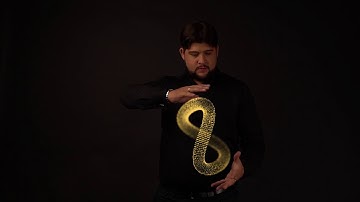 APL PLANET 2019 В МОСКВЕ