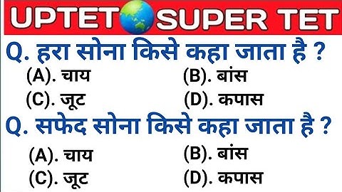 UPTET 2021 || Super TET EVS Important Questions || Super TET || UP LEKHPAL || SSC || RRB || UPPET