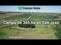 365 ha en San José, Referencia 1642 en www.camposonline.com.uy