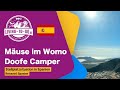 Stellplatzsituation spanien doofe camper muse im wohnmobil