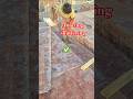 slab shuttering karne ka Sahi tarika carpenter work construction work#construction #shorts #viral