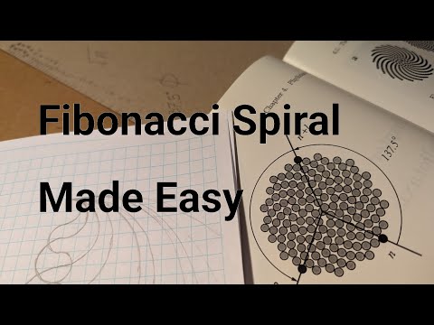 Make your own Phyllotaxis Spiral with a pencil and cardboard (easy math craft project)
