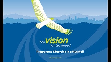 What is the MSP Programme Lifecycle?