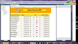 SSRS - KPI Reports (Indicators and Gauges)