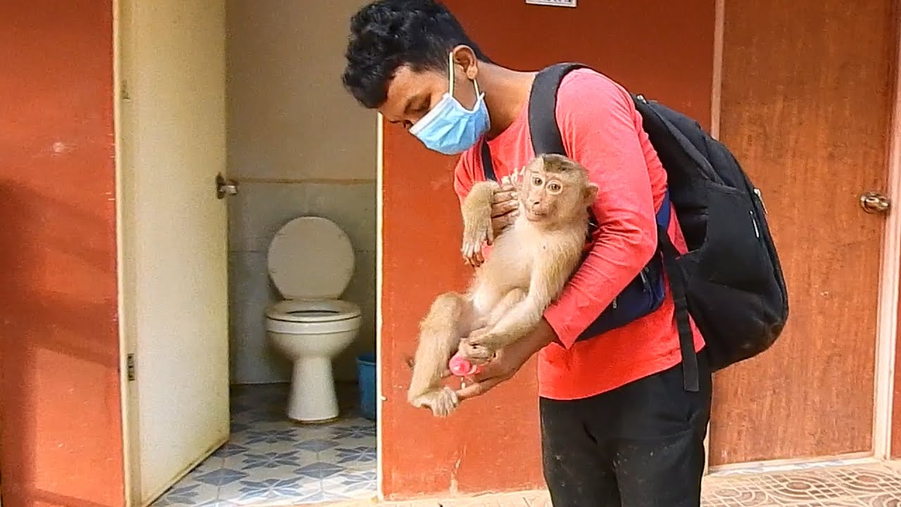 Our activity go to bring Sovana Koca back after they go to play at front & there are many dogs there