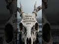 One Species at a Time - The Natural World's Last Song #metal #shorts