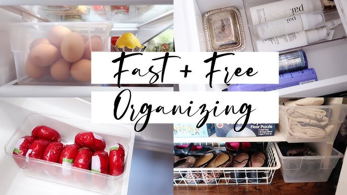 20 Fridge Organization Ideas (That Really Work!) - Shannon Torrens